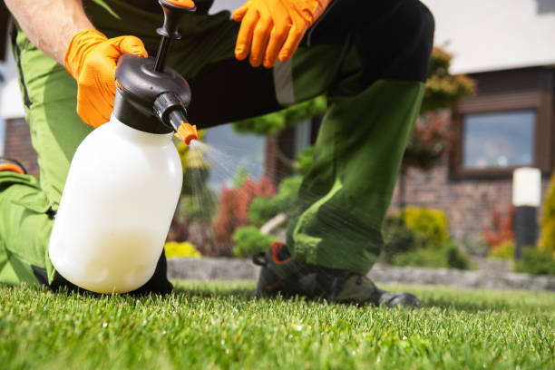 Best Rat Extermination Near Me  in Red Oak, TX