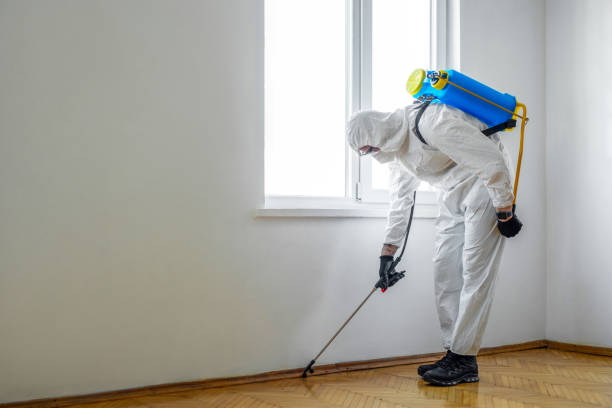 Best Best Pest Control Companies  in Red Oak, TX