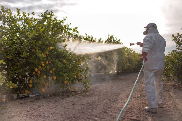 Best Pest Control Cost  in Red Oak, TX