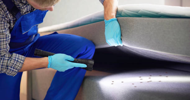 Best Residential Pest Control  in Red Oak, TX