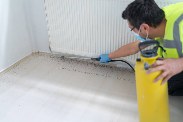 Best Mosquito Control Services  in Red Oak, TX